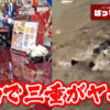 Thumbnail of new posts 014